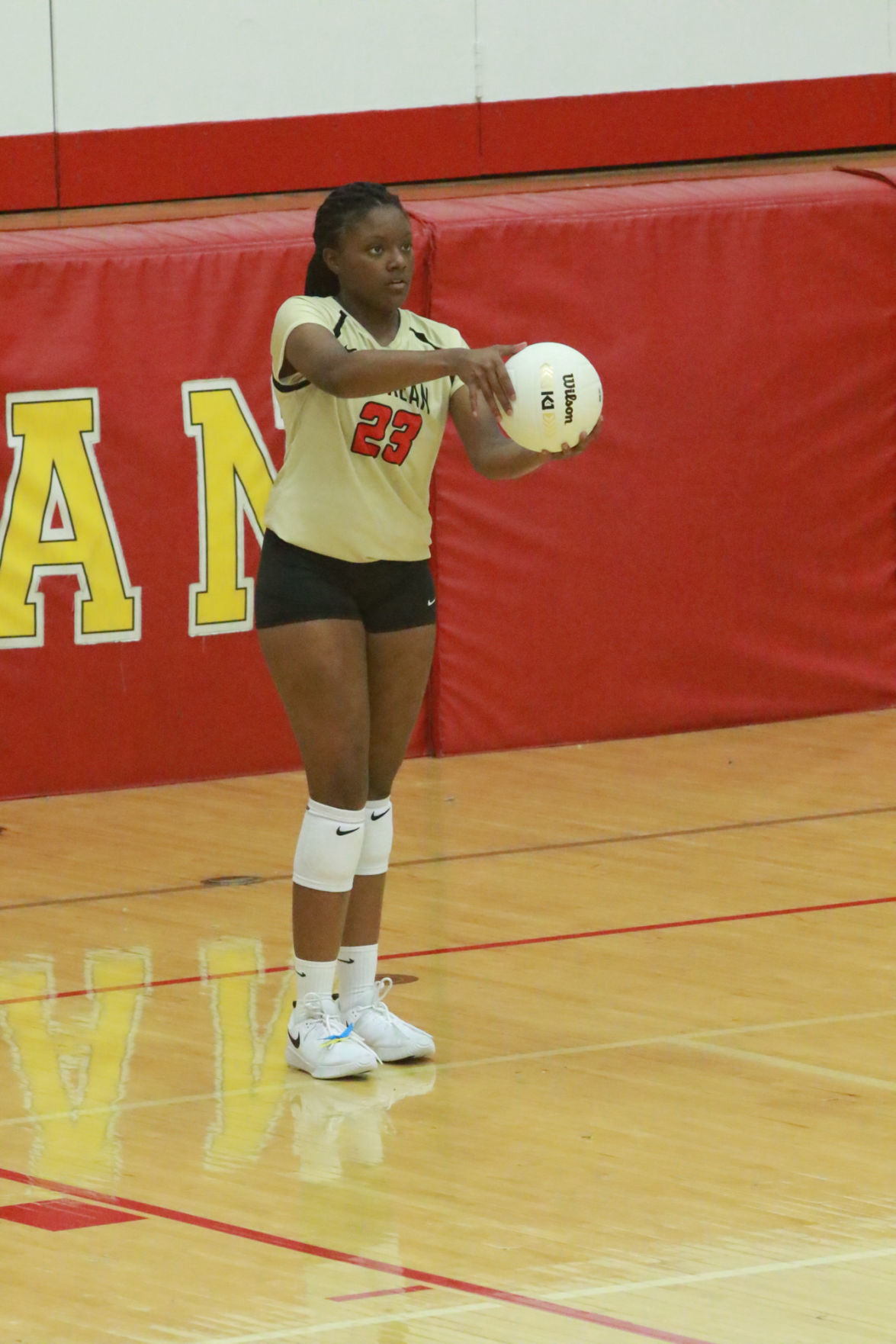 Gallery: Girls volleyball - Wheeler at Andrean